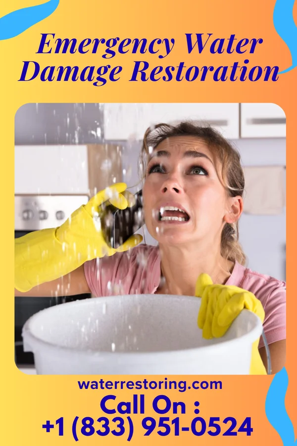 Emergency Water Damage Restoration in Brass Castle, NJ