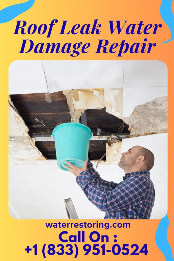 Roof Leak Water Damage Repair in Brass Castle, NJ