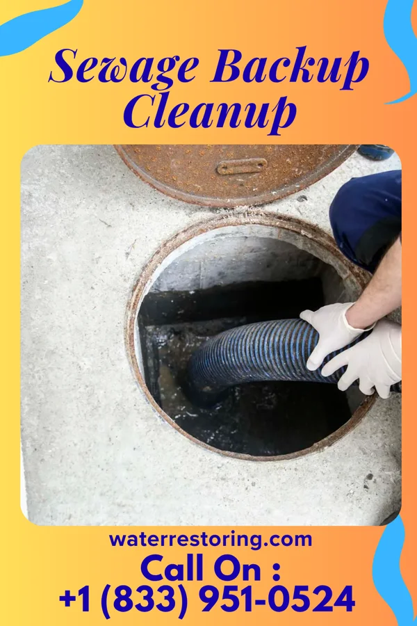 Sewage Backup Cleanup in Brass Castle, NJ