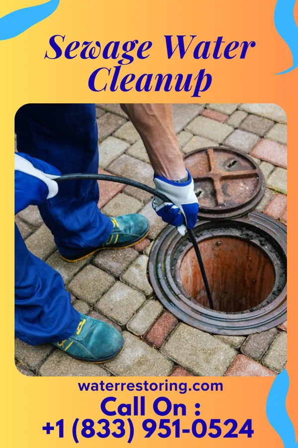 Sewage Water Cleanup in Brass Castle, NJ