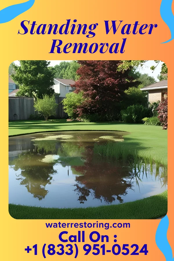 Standing Water Removal in Brass Castle, NJ